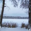 Winterblick von der Seestrasse (tn_100_4077.jpg) Zeesner See im Landkreis Dahme Spreewald